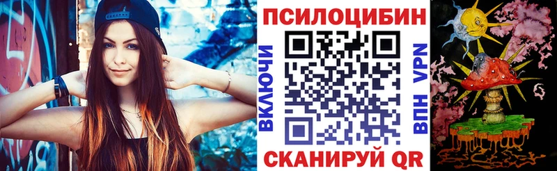 Купить где  Чаплыгин  Галлюциногенные грибы Magic Shrooms 